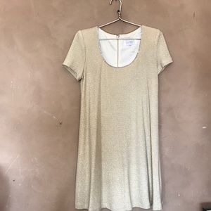 Ever Beauty Party Dress